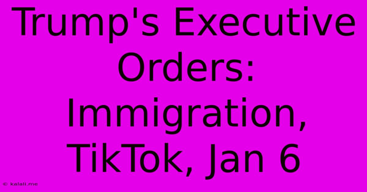 Trump's Executive Orders: Immigration, TikTok, Jan 6