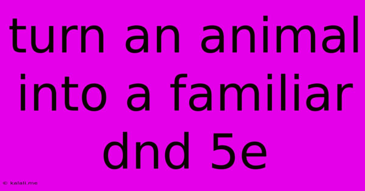 Turn An Animal Into A Familiar Dnd 5e