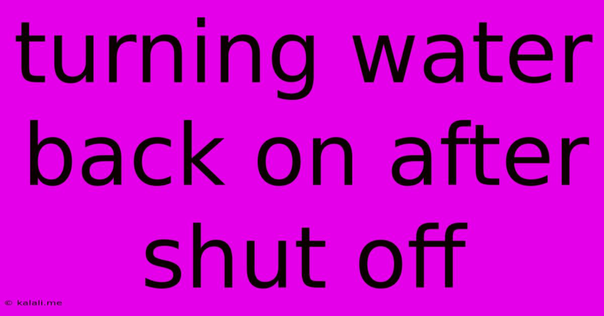 Turning Water Back On After Shut Off