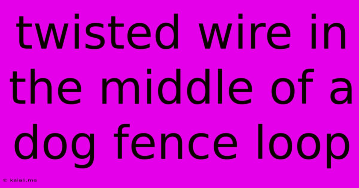 Twisted Wire In The Middle Of A Dog Fence Loop