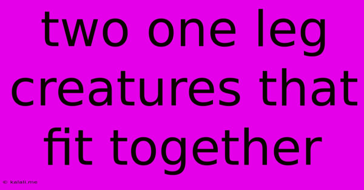 Two One Leg Creatures That Fit Together