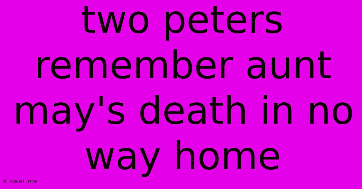 Two Peters Remember Aunt May's Death In No Way Home