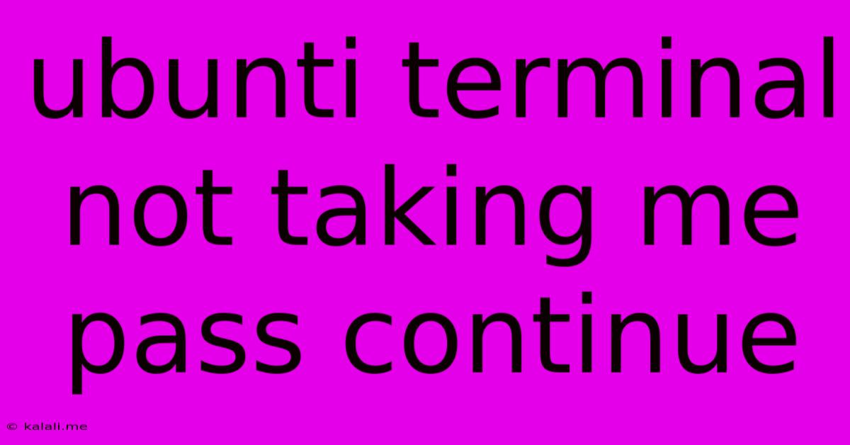 Ubunti Terminal Not Taking Me Pass Continue
