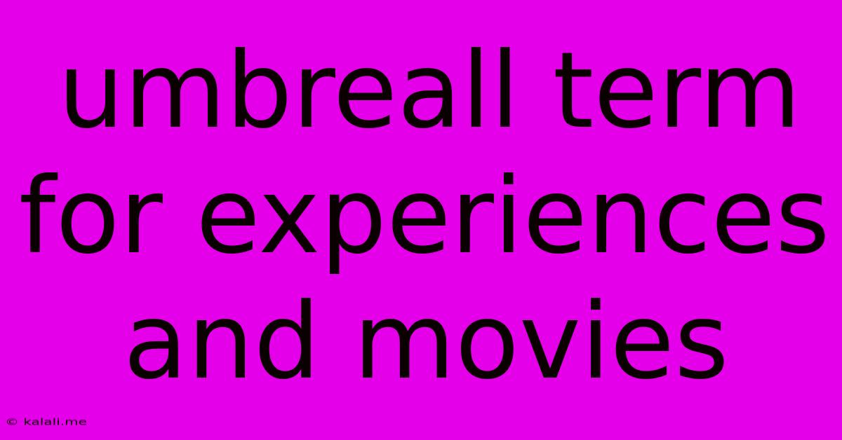 Umbreall Term For Experiences And Movies