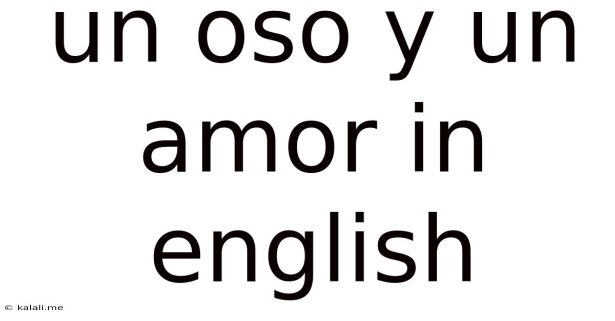 Un Oso Y Un Amor In English