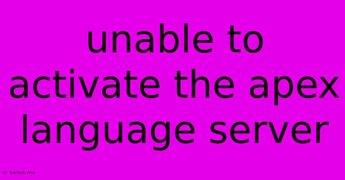Unable To Activate The Apex Language Server