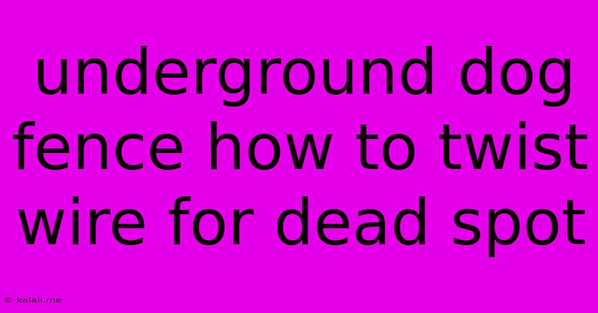 Underground Dog Fence How To Twist Wire For Dead Spot