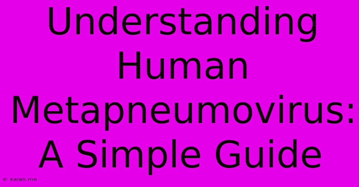 Understanding Human Metapneumovirus:  A Simple Guide