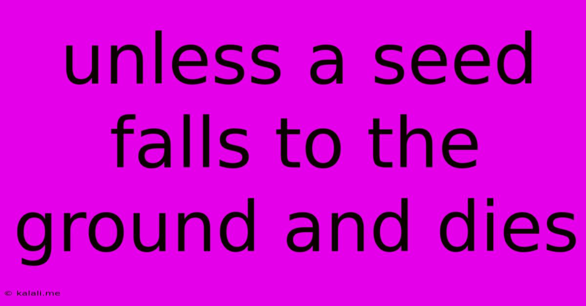 Unless A Seed Falls To The Ground And Dies