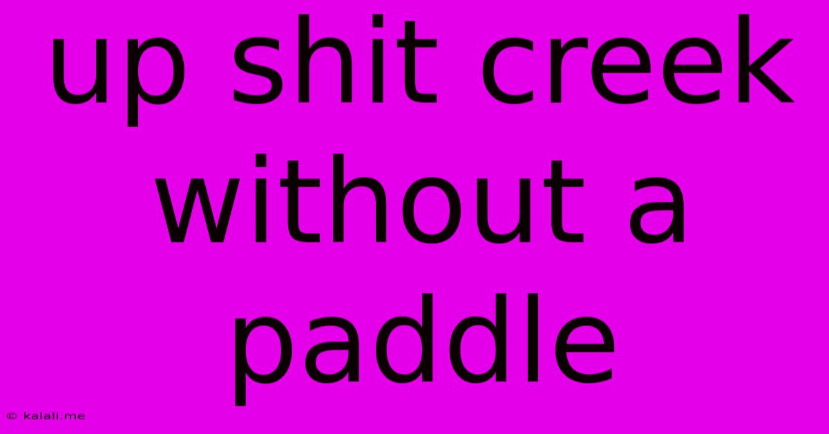 Up Shit Creek Without A Paddle