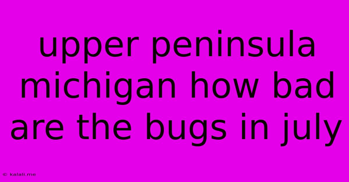 Upper Peninsula Michigan How Bad Are The Bugs In July
