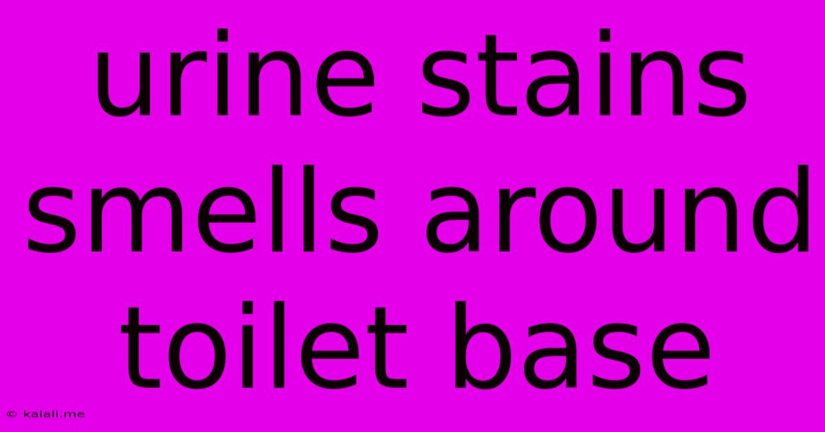 Urine Stains Smells Around Toilet Base