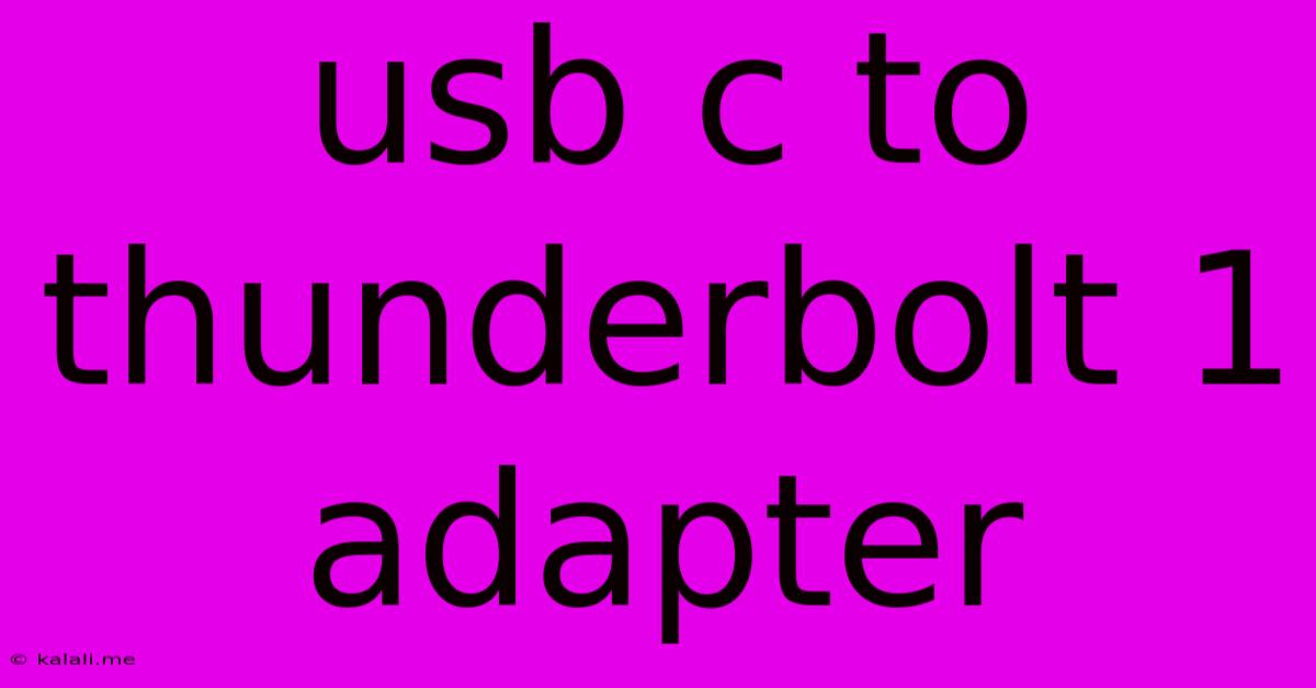 Usb C To Thunderbolt 1 Adapter