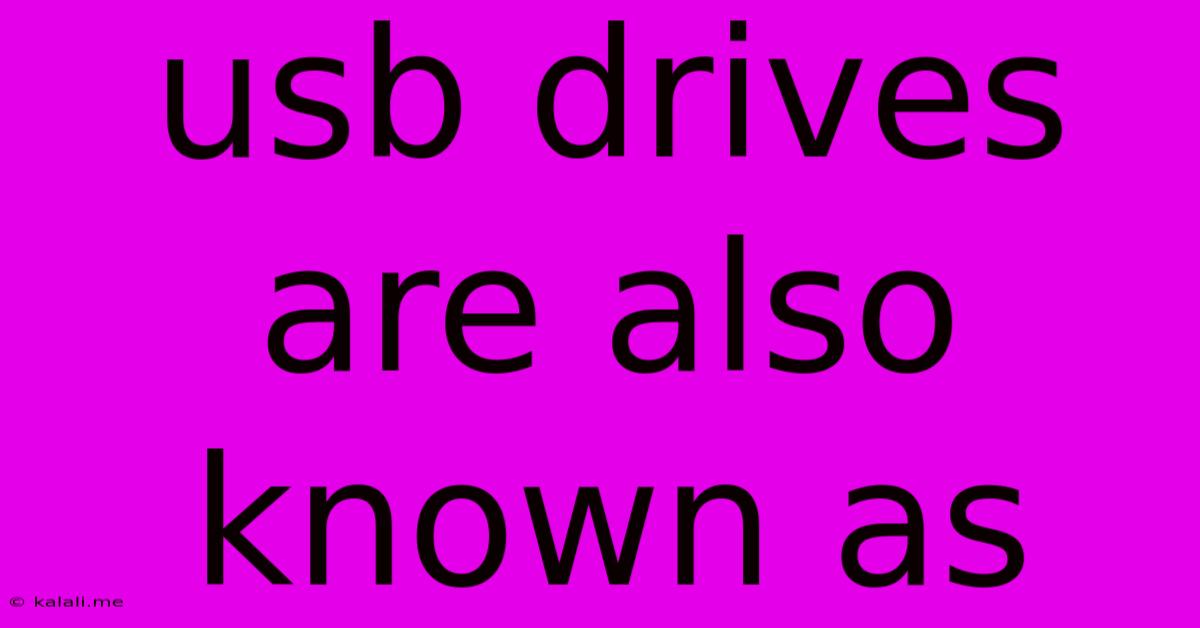 Usb Drives Are Also Known As