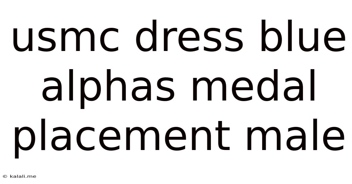 Usmc Dress Blue Alphas Medal Placement Male