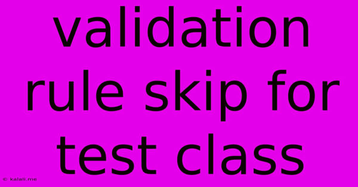 Validation Rule Skip For Test Class