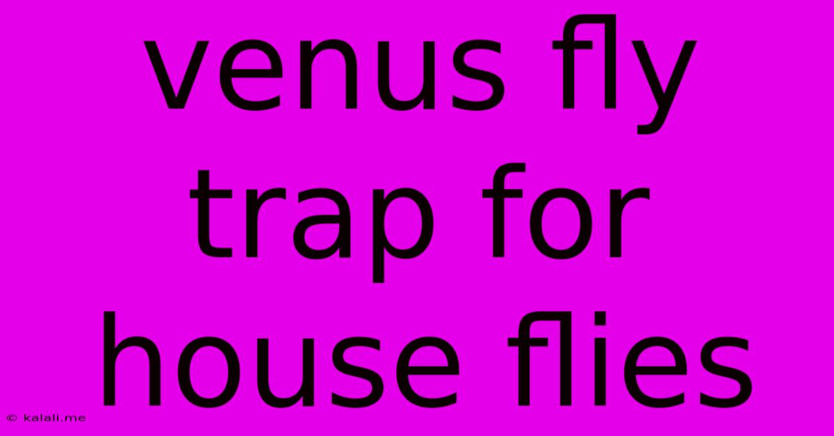 Venus Fly Trap For House Flies