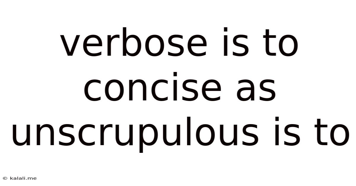 Verbose Is To Concise As Unscrupulous Is To
