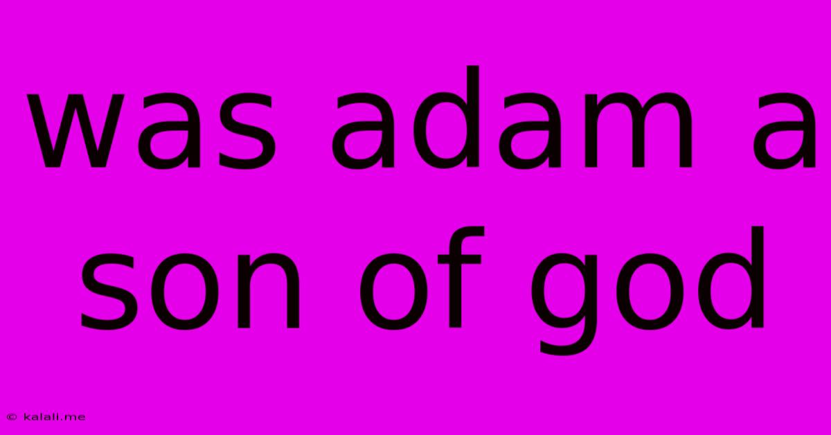 Was Adam A Son Of God