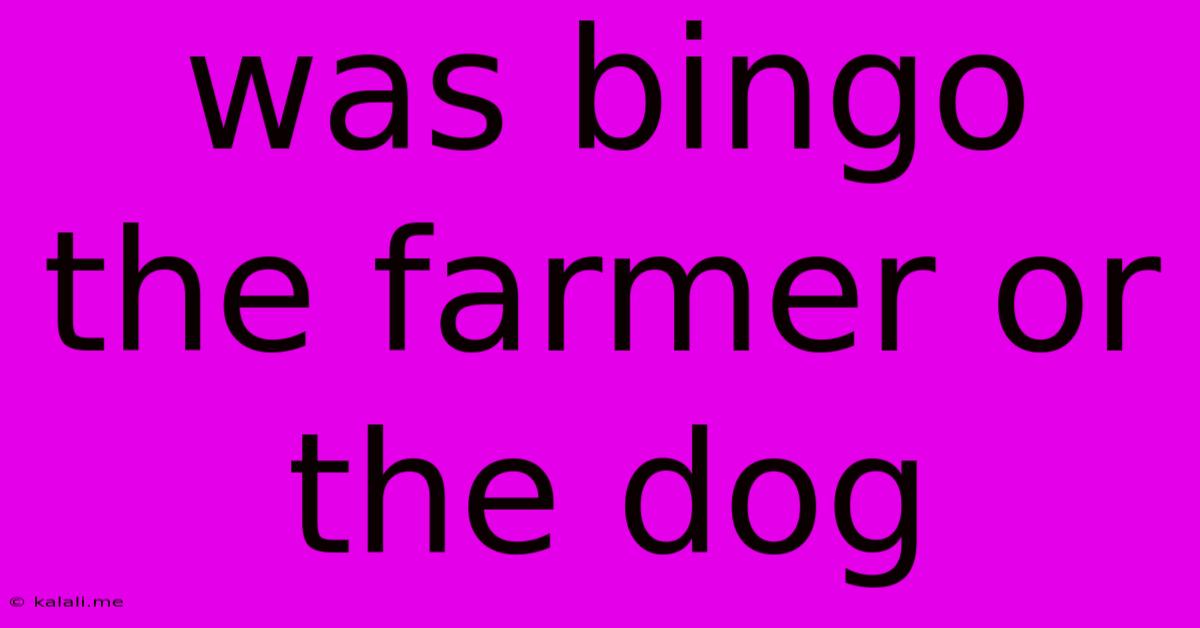 Was Bingo The Farmer Or The Dog