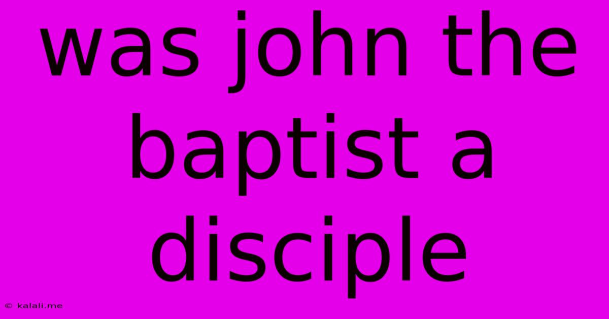 Was John The Baptist A Disciple