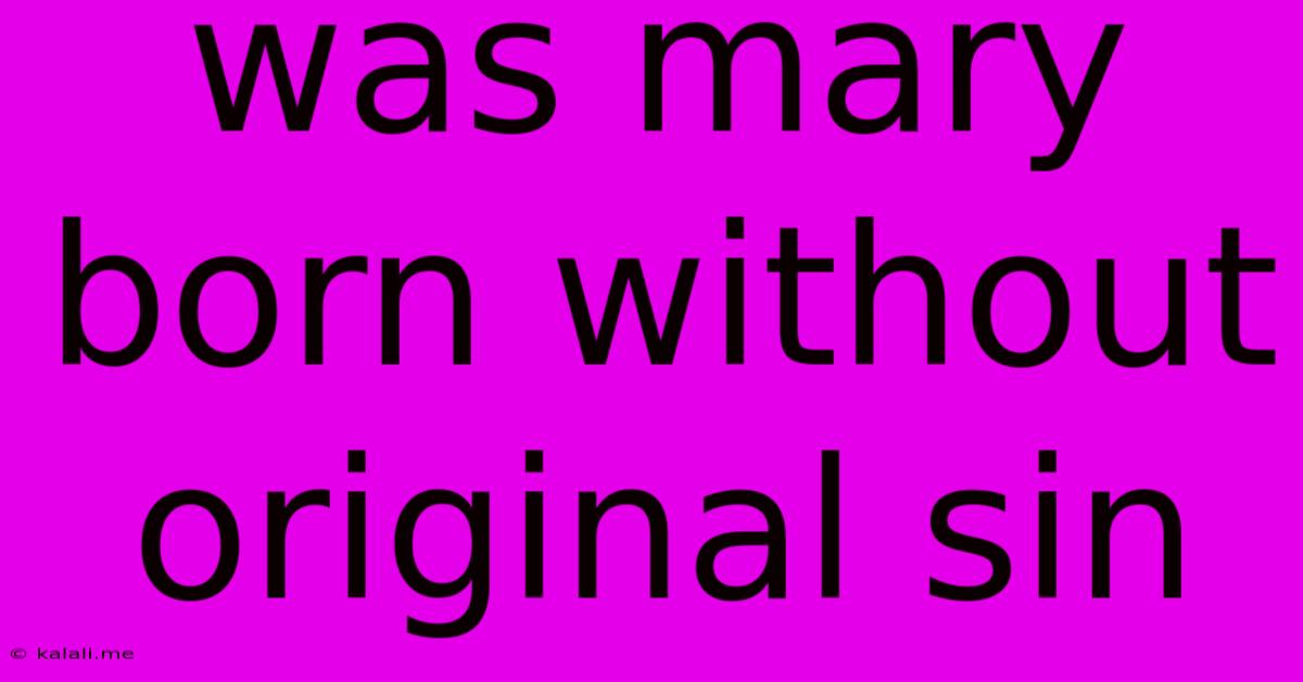 Was Mary Born Without Original Sin