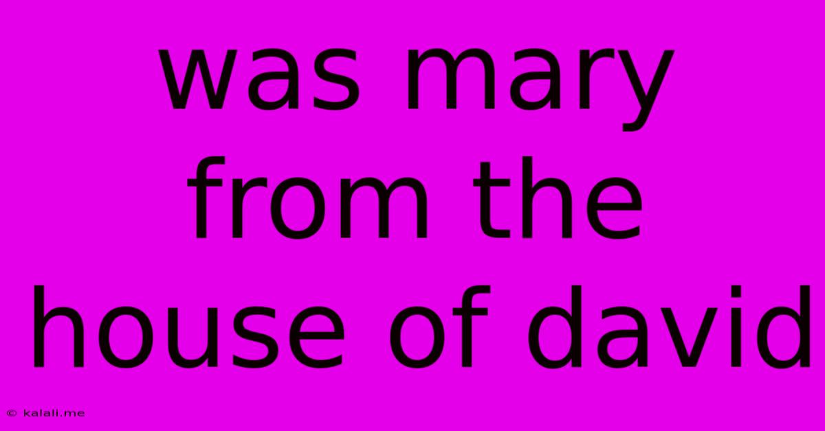Was Mary From The House Of David