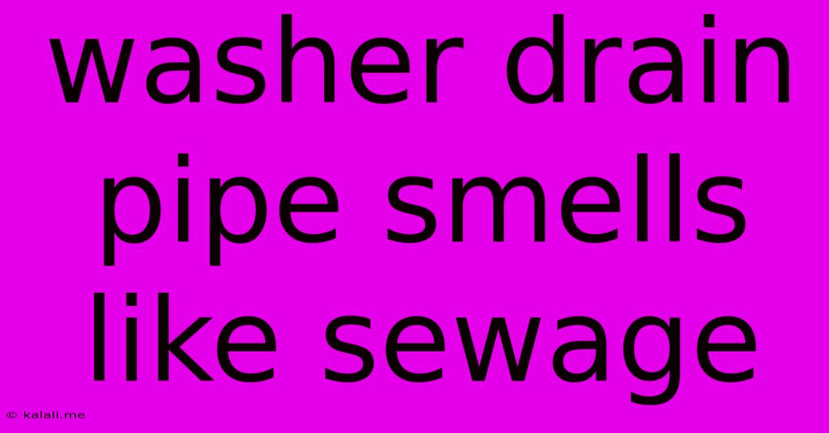 Washer Drain Pipe Smells Like Sewage