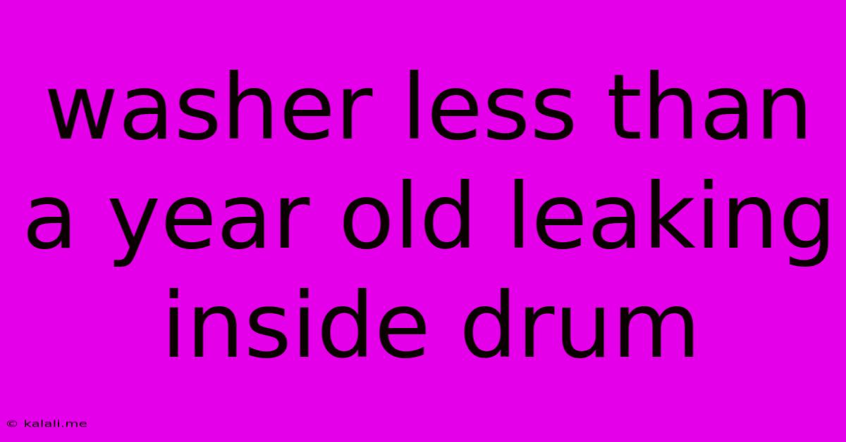 Washer Less Than A Year Old Leaking Inside Drum