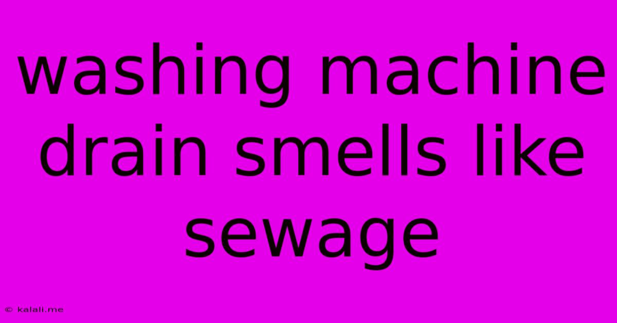 Washing Machine Drain Smells Like Sewage