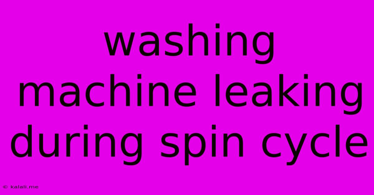 Washing Machine Leaking During Spin Cycle
