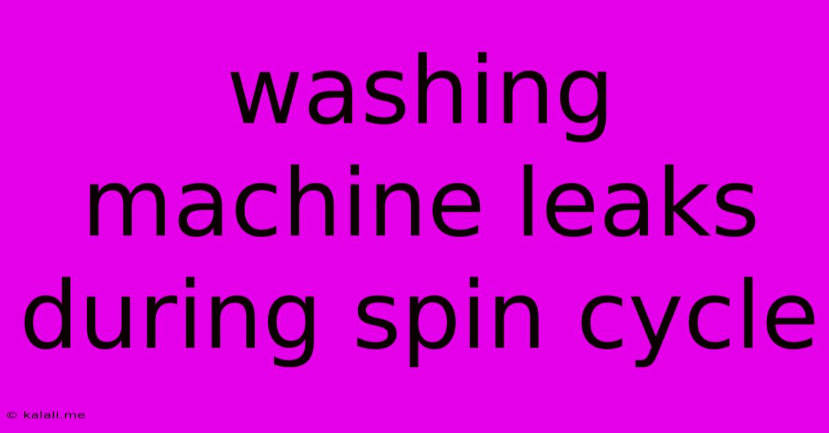 Washing Machine Leaks During Spin Cycle