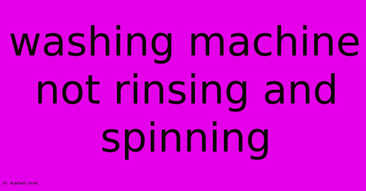 Washing Machine Not Rinsing And Spinning