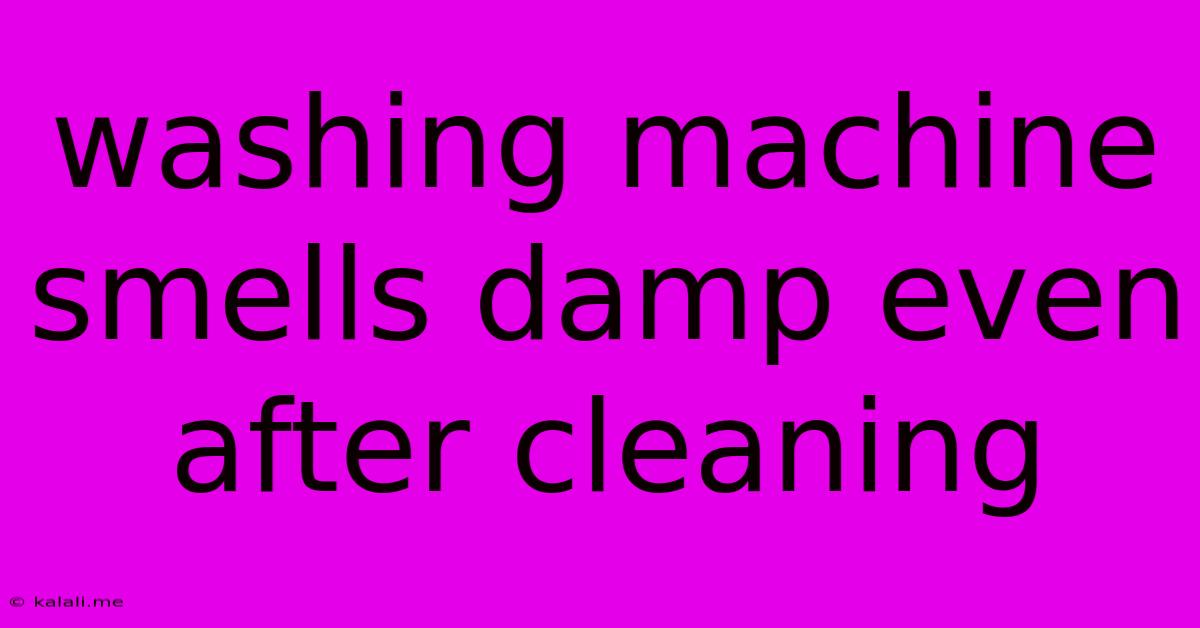 Washing Machine Smells Damp Even After Cleaning