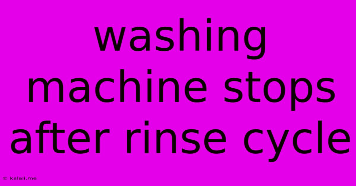 Washing Machine Stops After Rinse Cycle