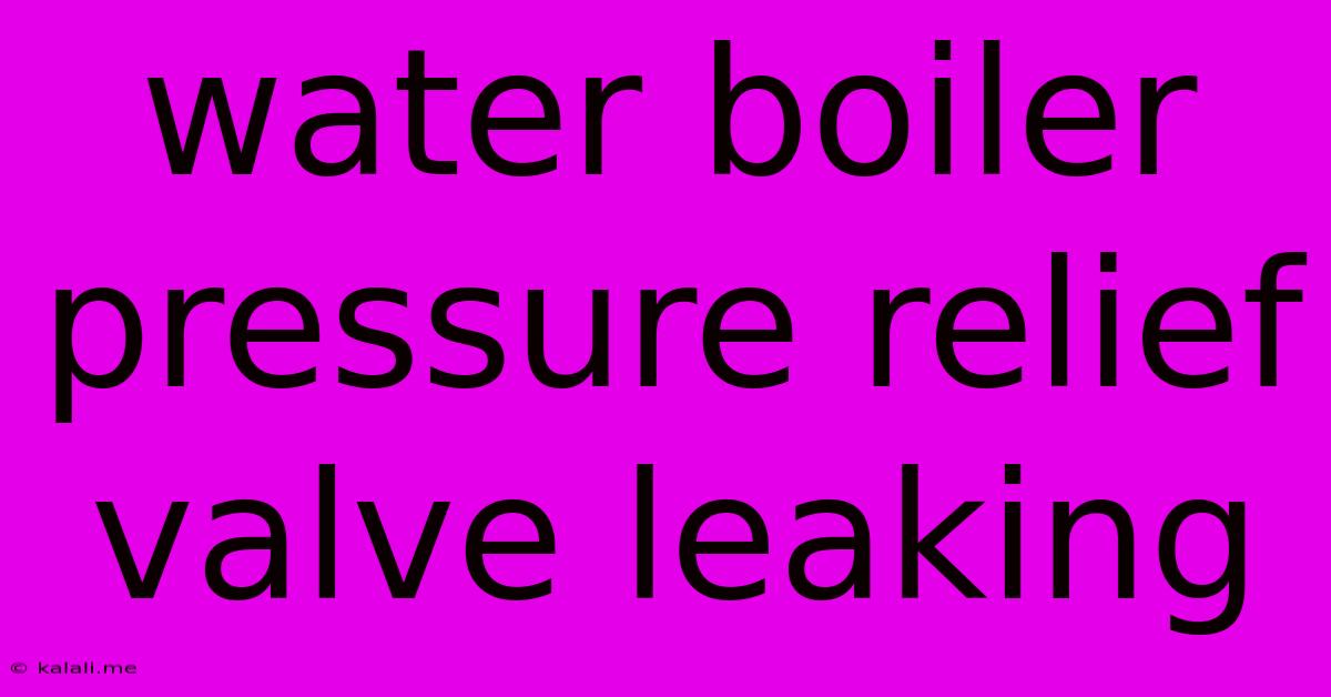 Water Boiler Pressure Relief Valve Leaking