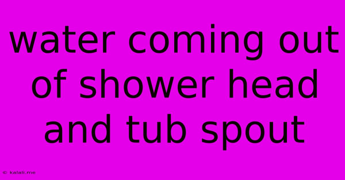 Water Coming Out Of Shower Head And Tub Spout