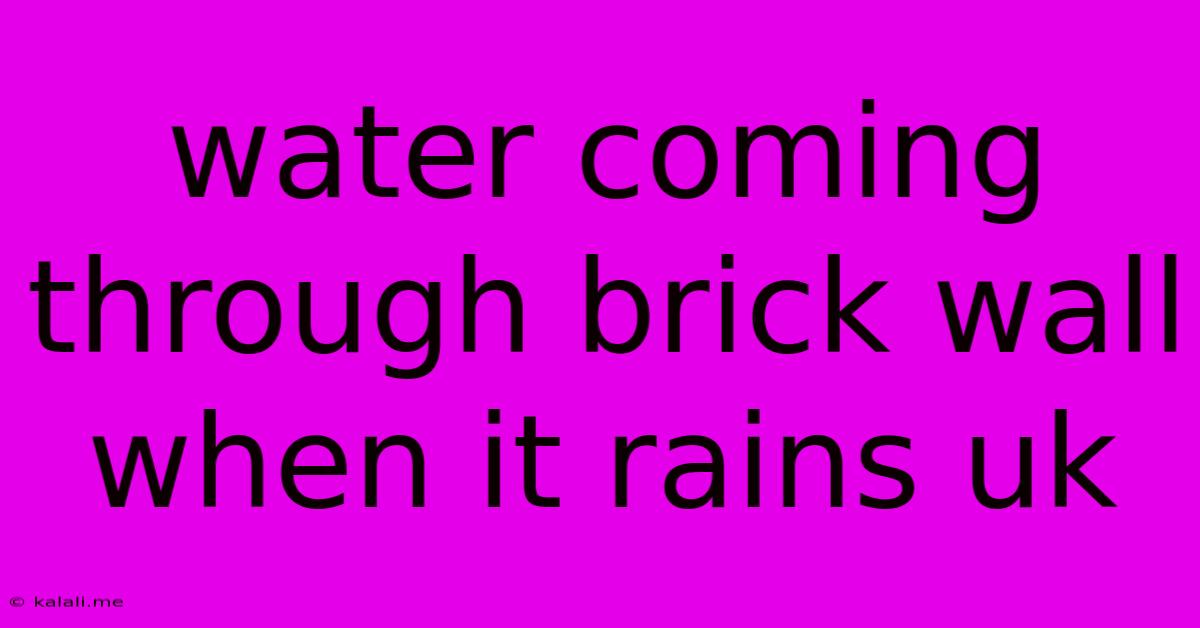 Water Coming Through Brick Wall When It Rains Uk