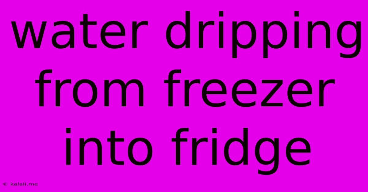 Water Dripping From Freezer Into Fridge