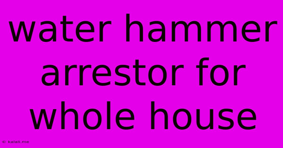 Water Hammer Arrestor For Whole House