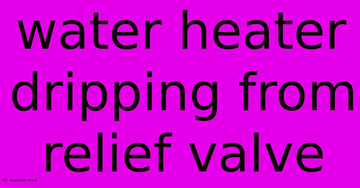 Water Heater Dripping From Relief Valve