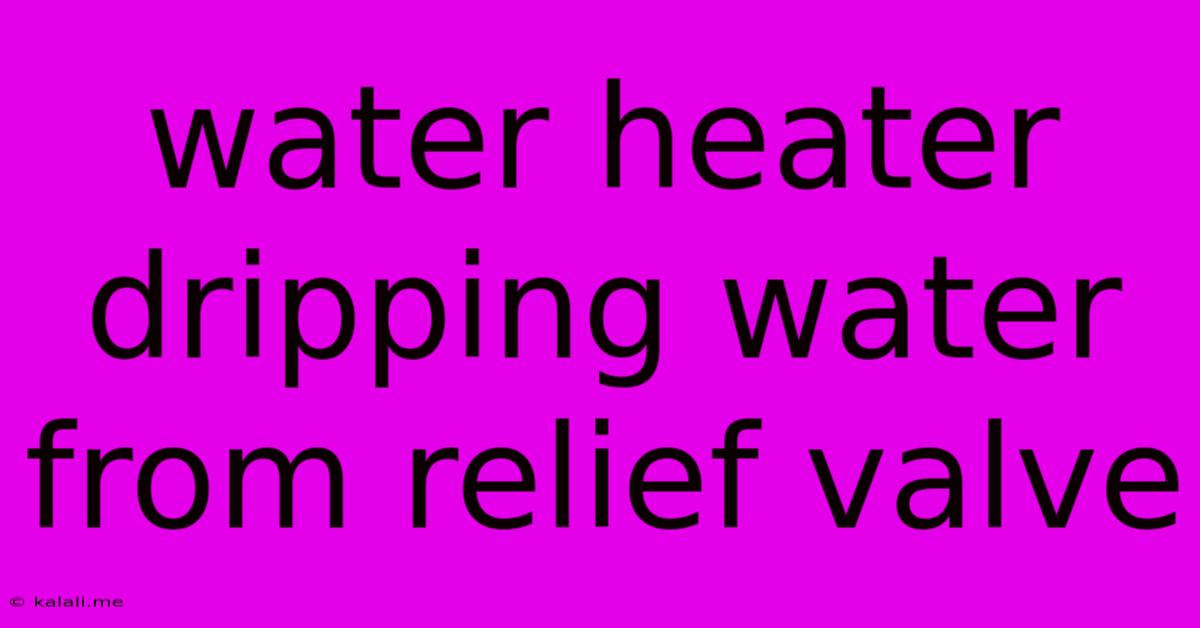 Water Heater Dripping Water From Relief Valve