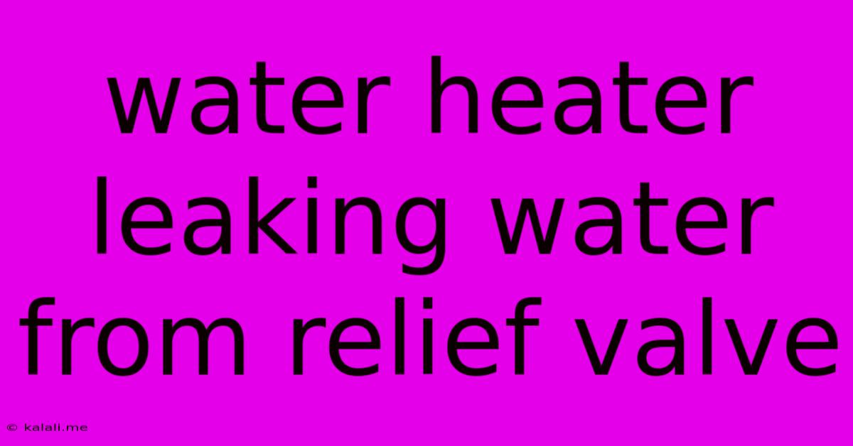 Water Heater Leaking Water From Relief Valve