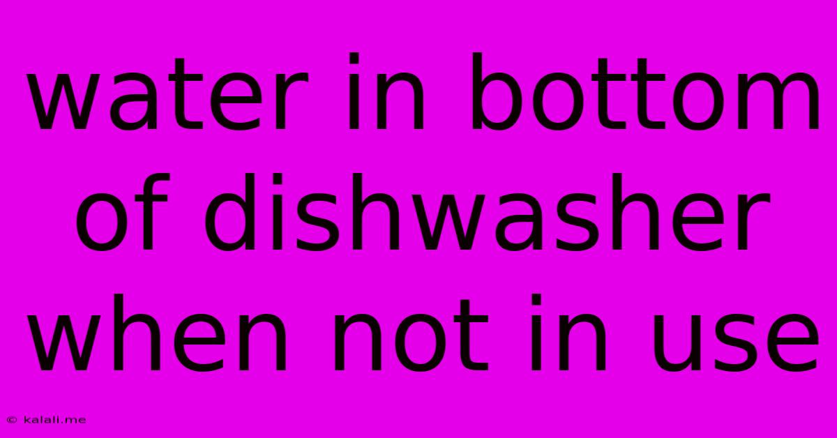 Water In Bottom Of Dishwasher When Not In Use
