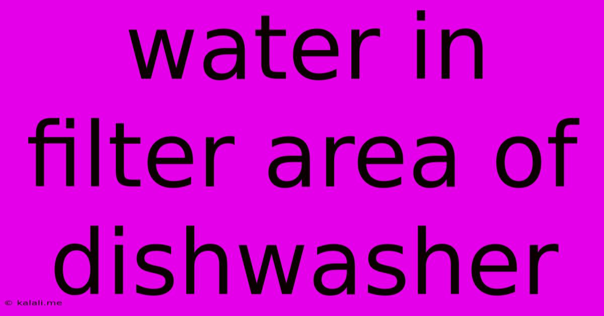 Water In Filter Area Of Dishwasher