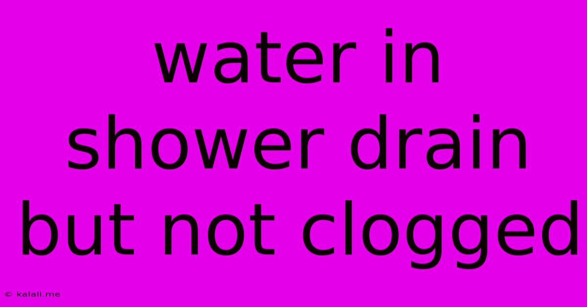 Water In Shower Drain But Not Clogged