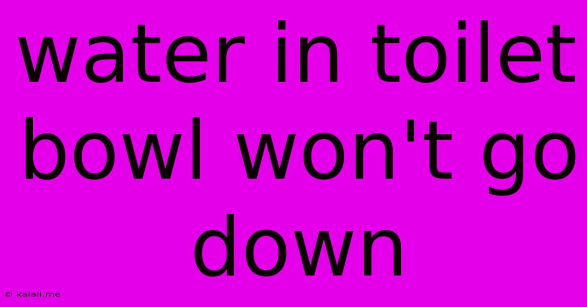 Water In Toilet Bowl Won't Go Down