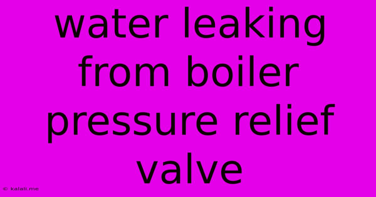 Water Leaking From Boiler Pressure Relief Valve