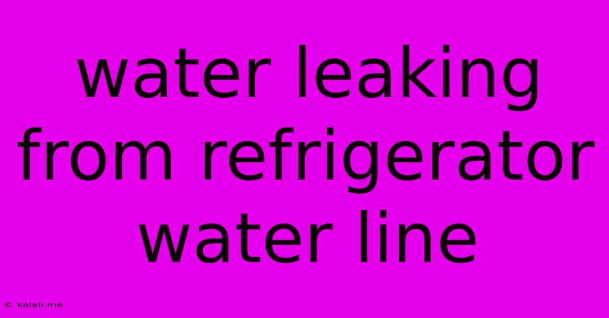 Water Leaking From Refrigerator Water Line