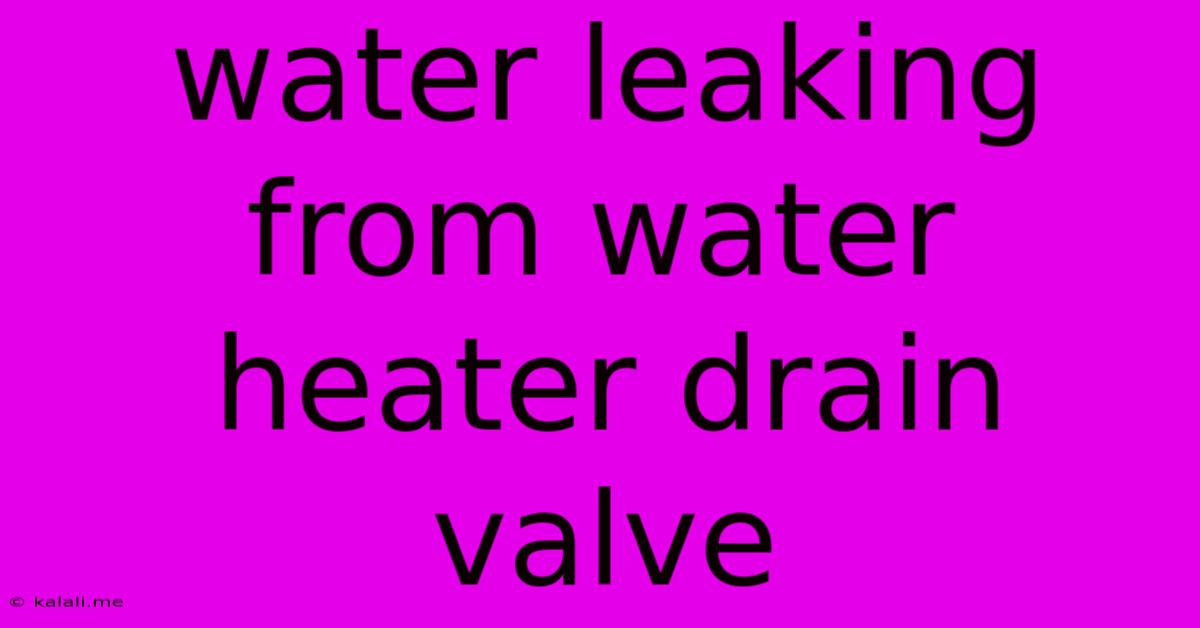 Water Leaking From Water Heater Drain Valve
